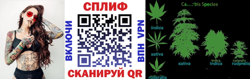 Бошки марихуана план Шуя